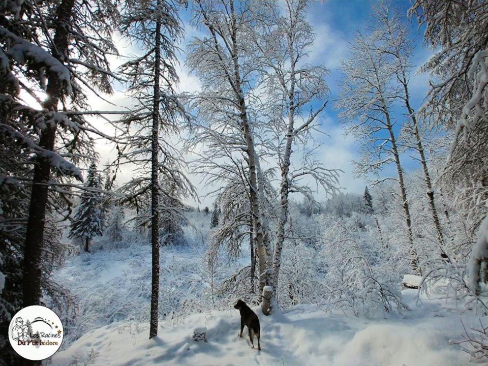 Les Racines Du P'Tit Isidore Rouyn Exteriér fotografie