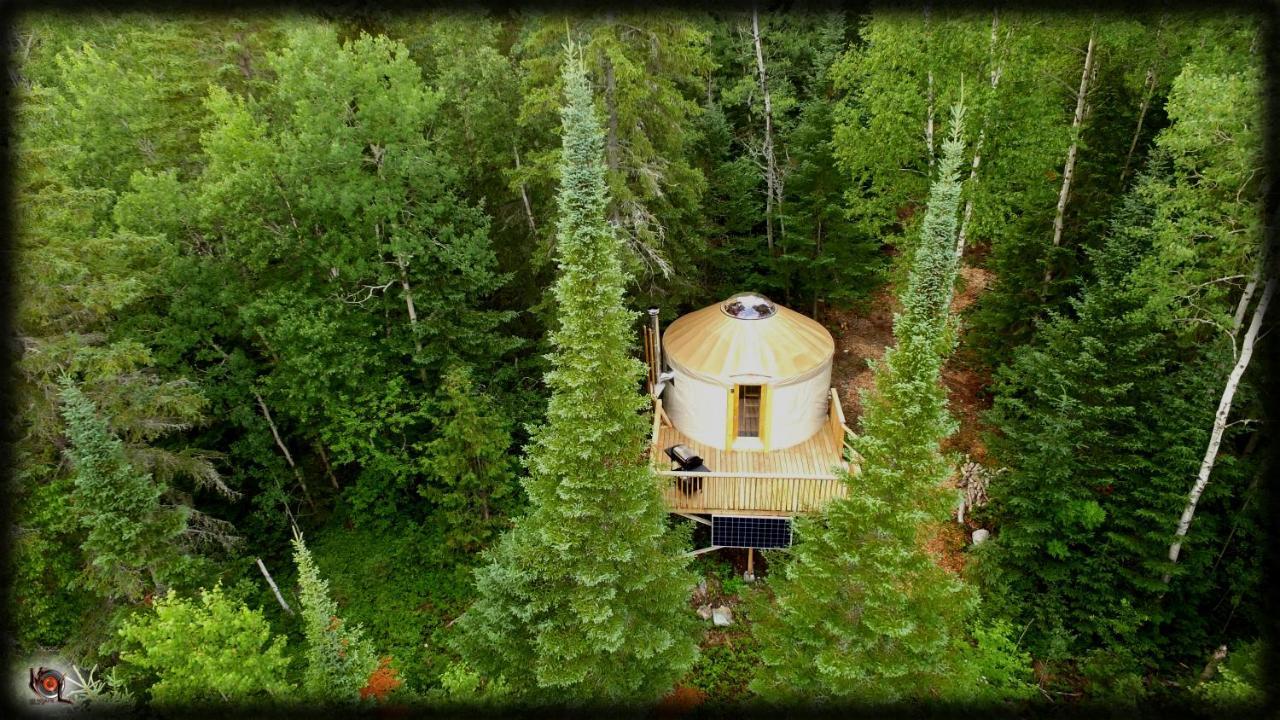 Les Racines Du P'Tit Isidore Rouyn Exteriér fotografie