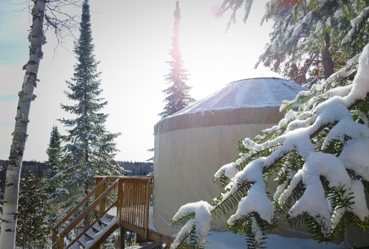 Les Racines Du P'Tit Isidore Rouyn Exteriér fotografie