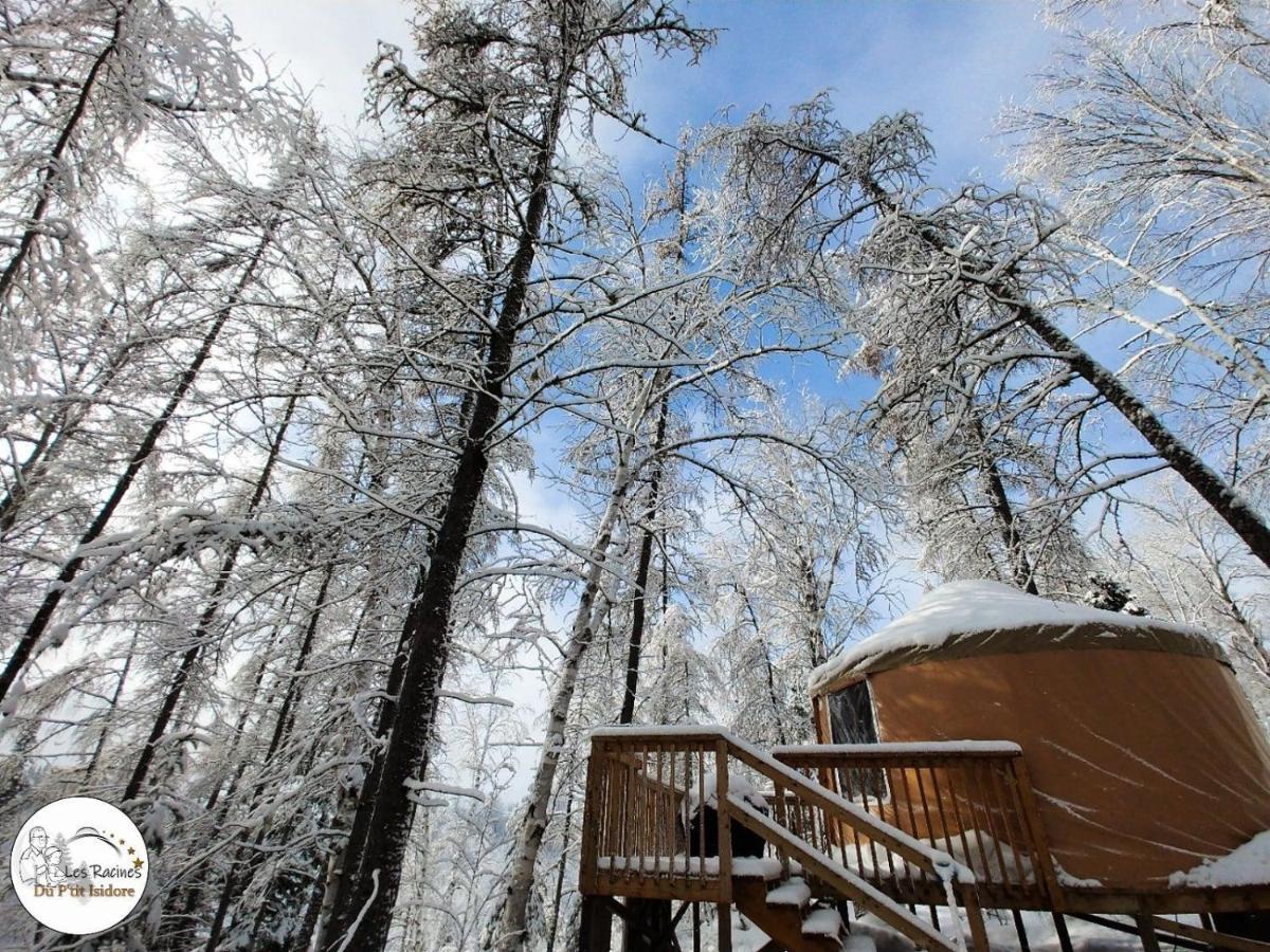 Les Racines Du P'Tit Isidore Rouyn Exteriér fotografie